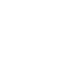 Logo Moni